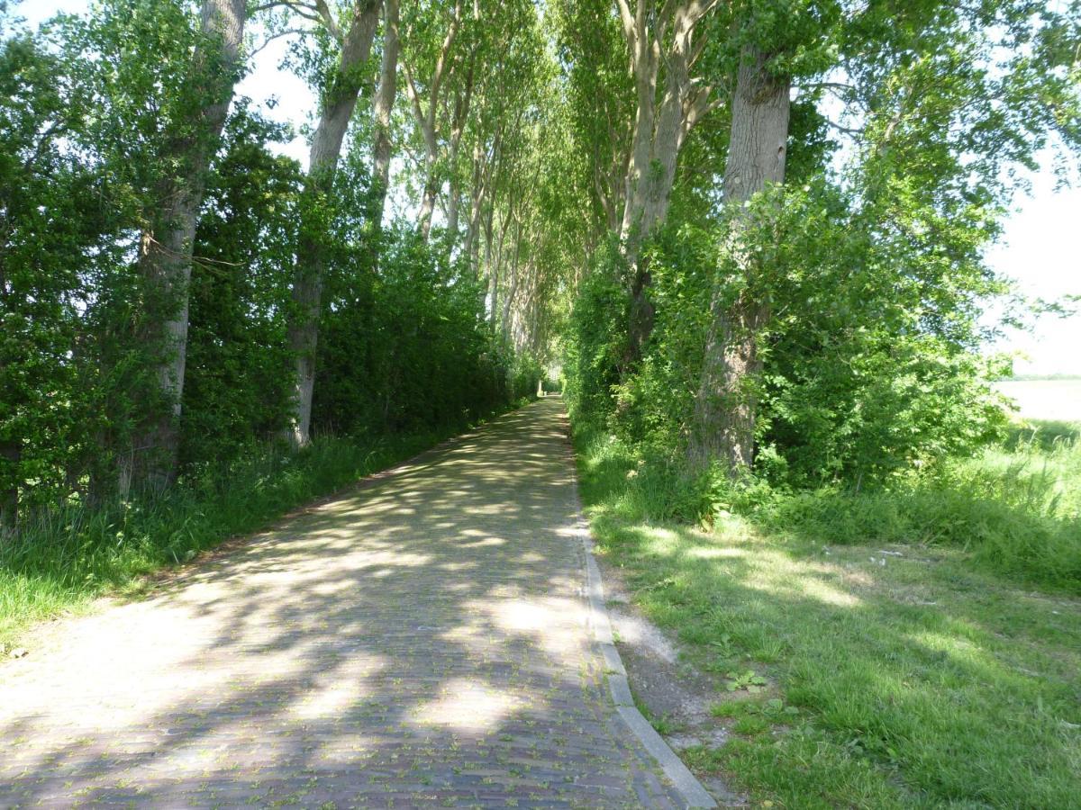 Vakantiewoning Domburg Do31 外观 照片