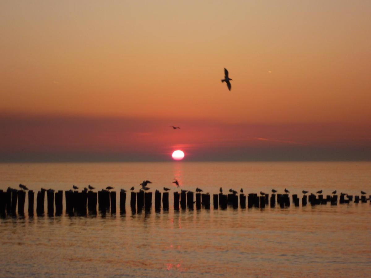Vakantiewoning Domburg Do31 外观 照片